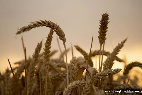 麻将胡了2试玩：存款优惠与龙虎游戏策略全解析