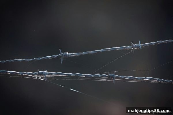 麻将胡了2试玩：如何精准识别合规游戏平台？APK安全下载全攻略